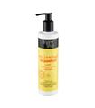 ORGANIC SHOP ANTI-BACTERIAL CHAMPU VOLUMINIZADOR 2