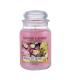 YANKEE FRESH CUT ROSES VELA 623GR SALVATORE FERRAG