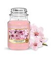 YANKEE CHERRY BLOSSOM VELA 623GR SALVATORE FERRAGA