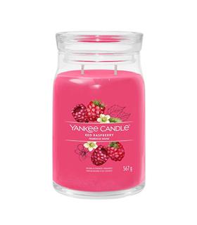 YANKEE RED RASPBERRY VELA 567GR SALVATORE FERRAGAM