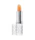 ELIZABETH ARDEN EIGHT HOUR LIP PROTECTANT STICK SP