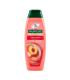 PALMOLIVE HYDRA-BALANCE CHAMPU TODO TIPO DE CABELL