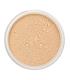 LILY LOLO MINERAL BASE EN POLVOS SPF15 WARM HONEY