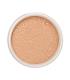 LILY LOLO MINERAL BASE EN POLVOS SPF15 COOL CARAME