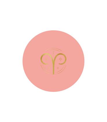 PINTURA PLASTICA UNA CAPA ZODIACOLORS MATE 4 L  ME