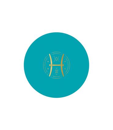 PINTURA PLASTICA UNA CAPA ZODIACOLORS MATE 4 L  TU