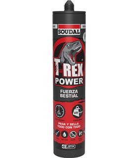 DIOR ROUGE FOREVER BARRA DE LABIOS Nº875 ENIGMATIC