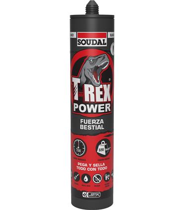 DIOR ROUGE FOREVER BARRA DE LABIOS Nº875 ENIGMATIC