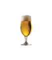 COPA CERVEZA 3 UDS 36 CL