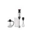 BATIDORA DE MANO CON ACCESORIOS BAPI PLUS INOX 120